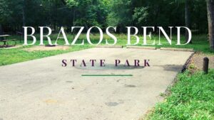 Brazos Bend State Park Review